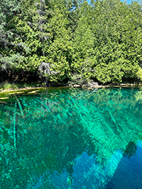 Shoreline of the spring