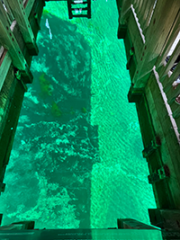 Boat view of the bottome of the spring